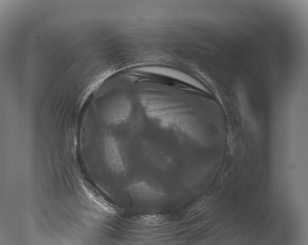 X0000076430059200610161203