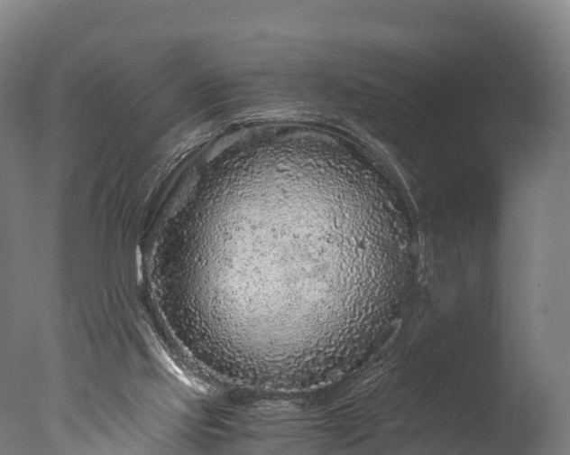 X0000076430061200610161203