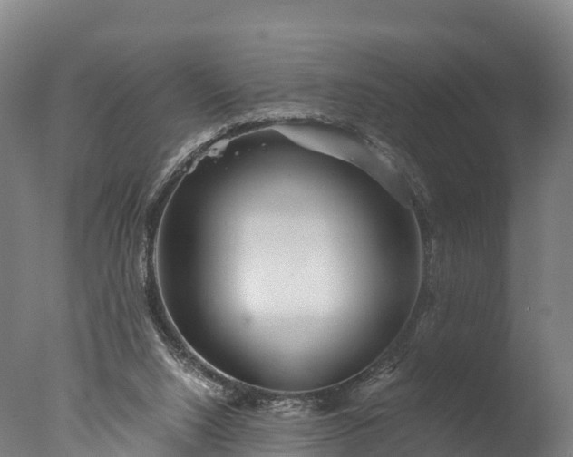 X0000076430064200610161203