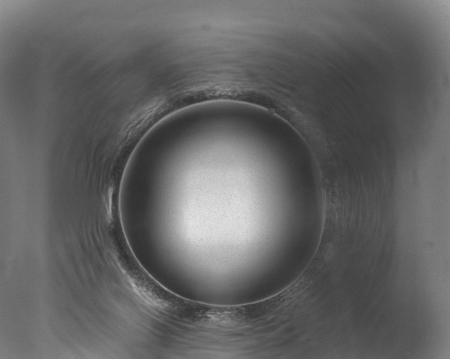 X0000076430070200610161203
