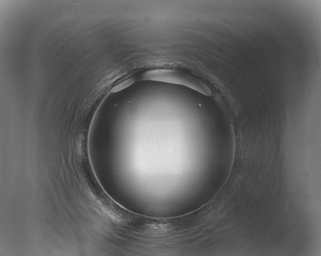 X0000076430071200610161203