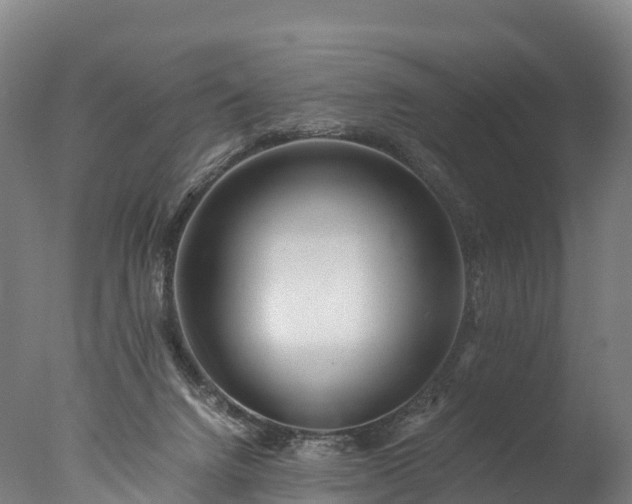 X0000076430072200610161203