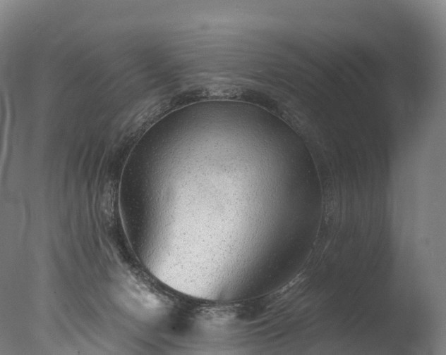 X0000076430078200610161203