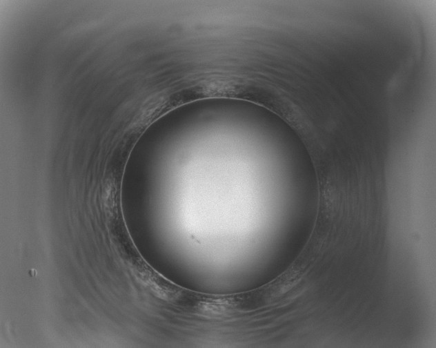 X0000076430079200610161203