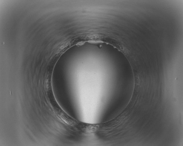 X0000076430080200610161203