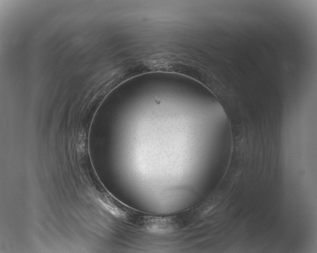 X0000076430081200610161203