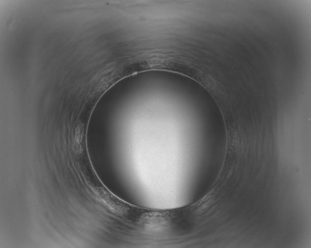 X0000076430082200610161203