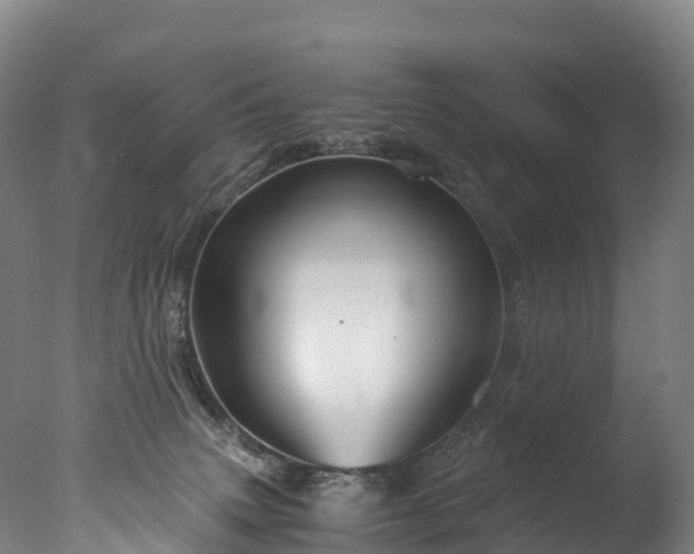 X0000076430083200610161203