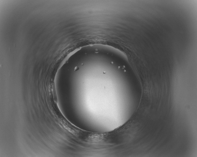 X0000076430084200610161203