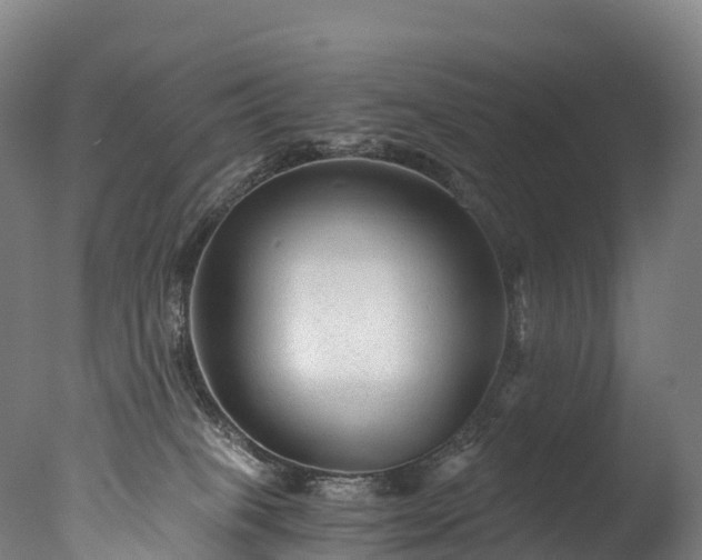 X0000076430085200610161203