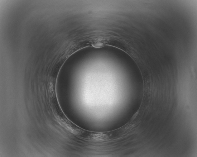 X0000076430087200610161203