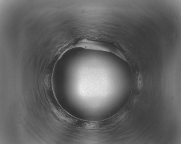 X0000076430088200610161203
