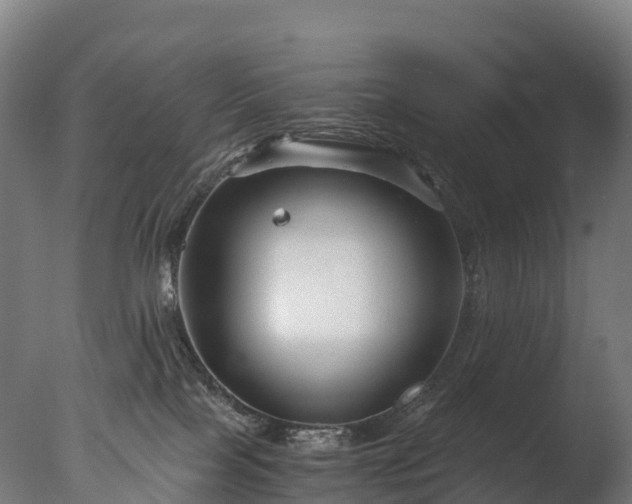 X0000076430089200610161203