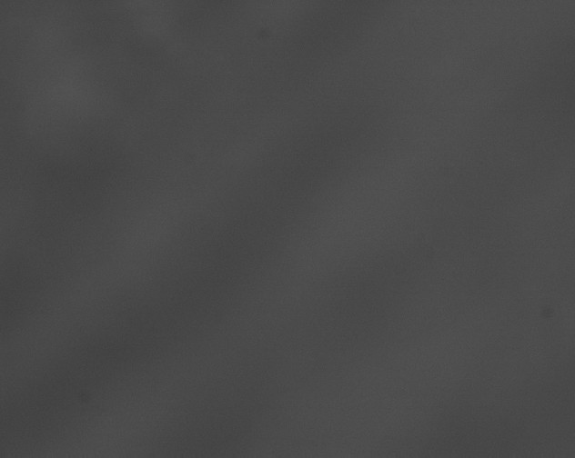X0000076430091200610161204