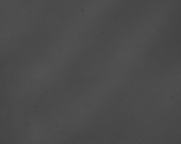X0000076430092200610161204