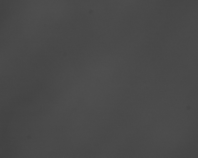 X0000076430093200610161204
