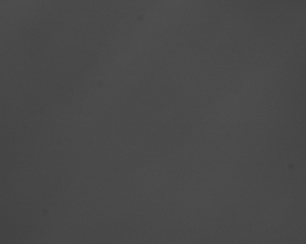 X0000076430094200610161204