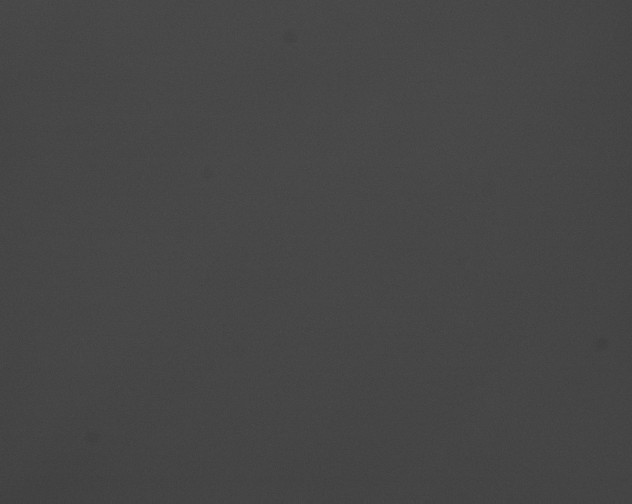 X0000076430096200610161204