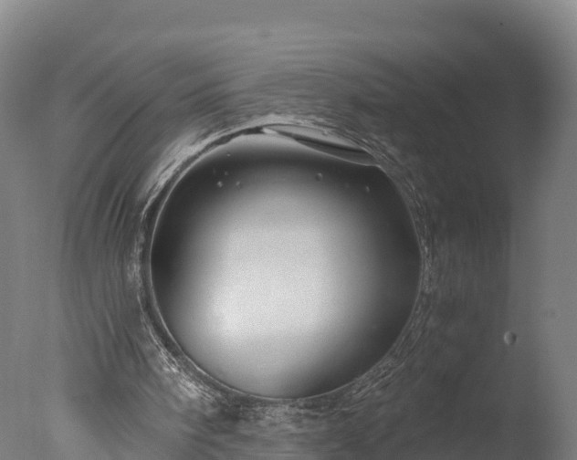 X0000076430098200610161203
