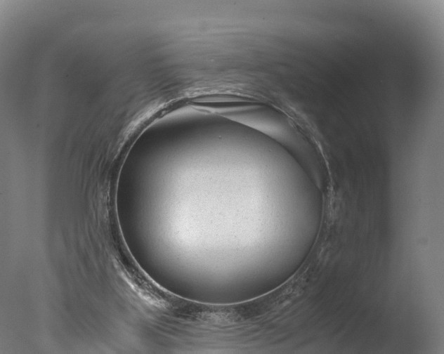 X0000076430107200610161203