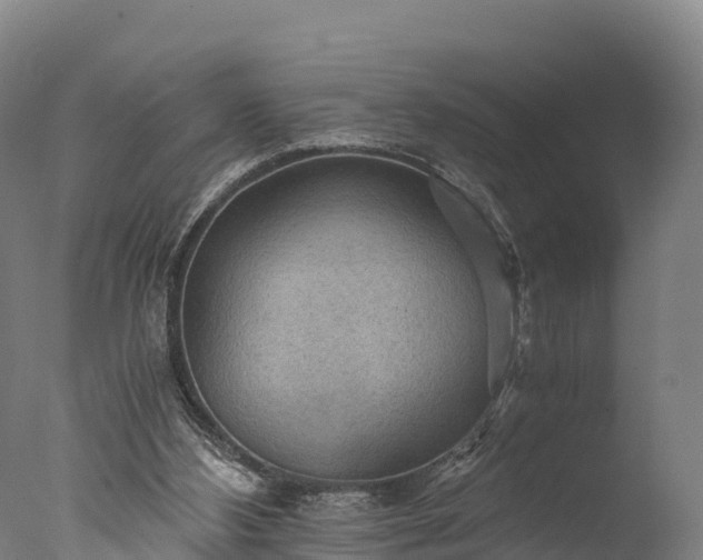 X0000076430108200610161203