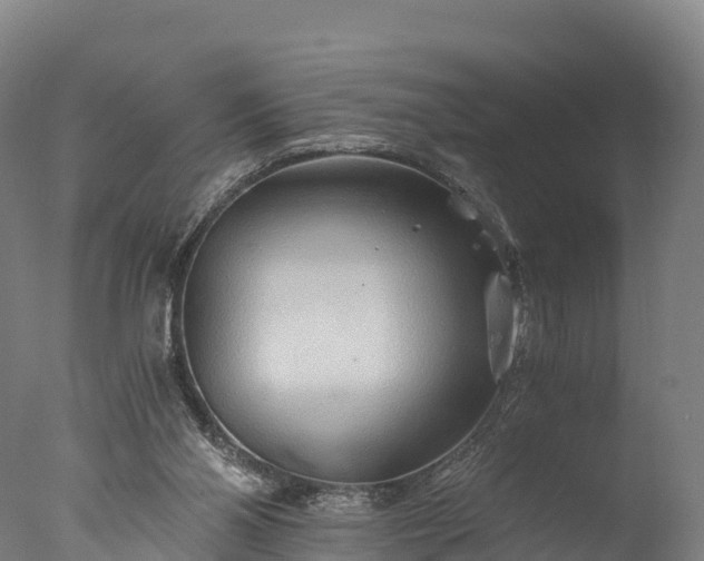 X0000076430110200610161203