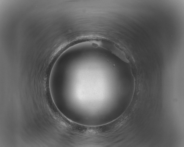 X0000076430111200610161203