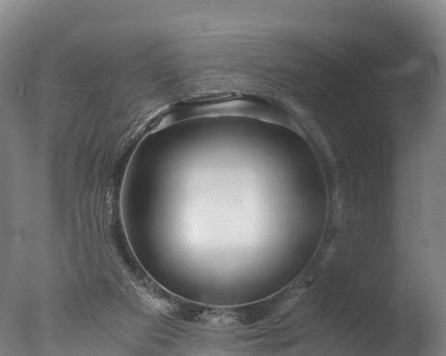 X0000076430113200610161203
