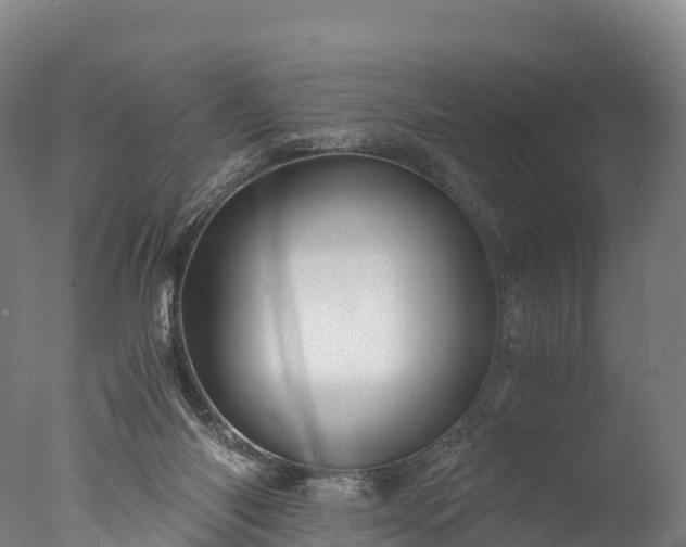 X0000076430118200610161202