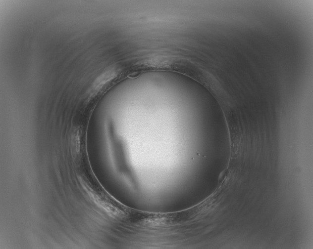 X0000076430120200610161202