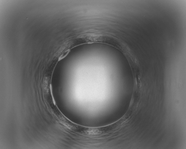 X0000076430121200610161202