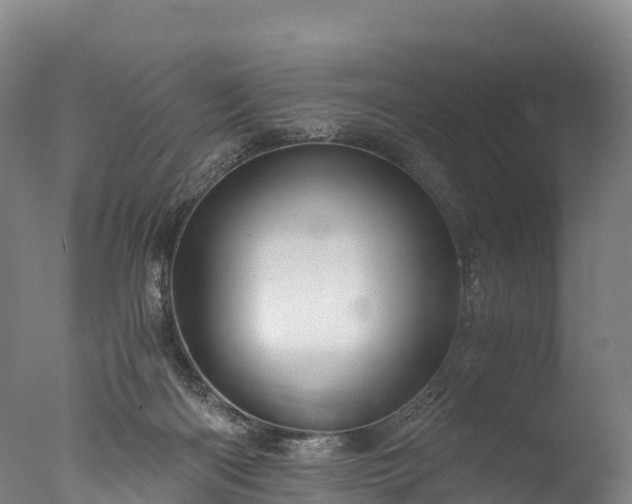 X0000076430122200610161202