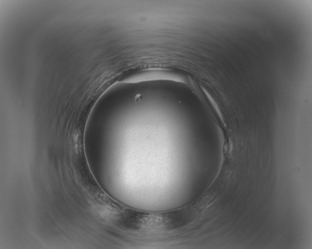 X0000076430123200610161202