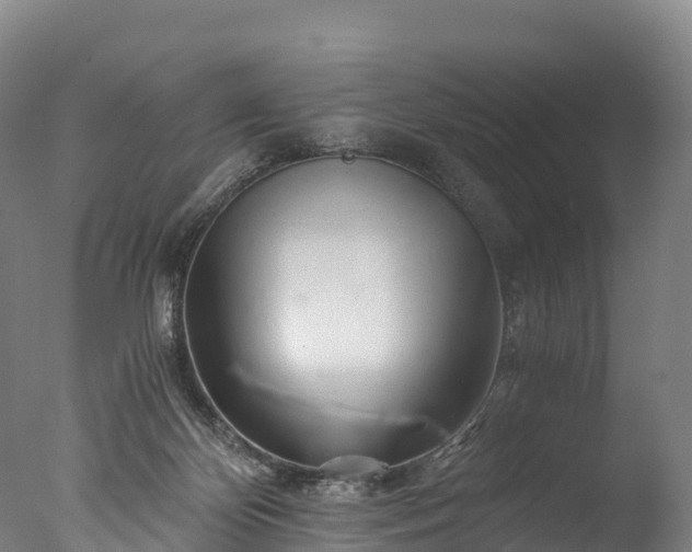 X0000076430124200610161202
