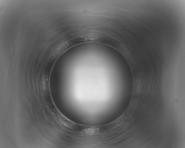 X0000076430126200610161202