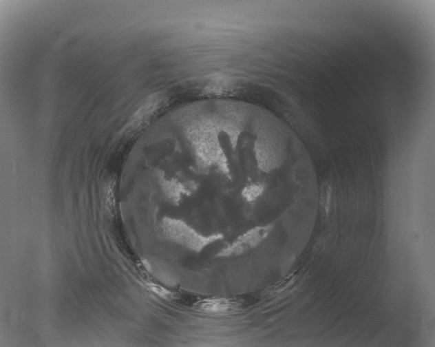 X0000076430127200610161202