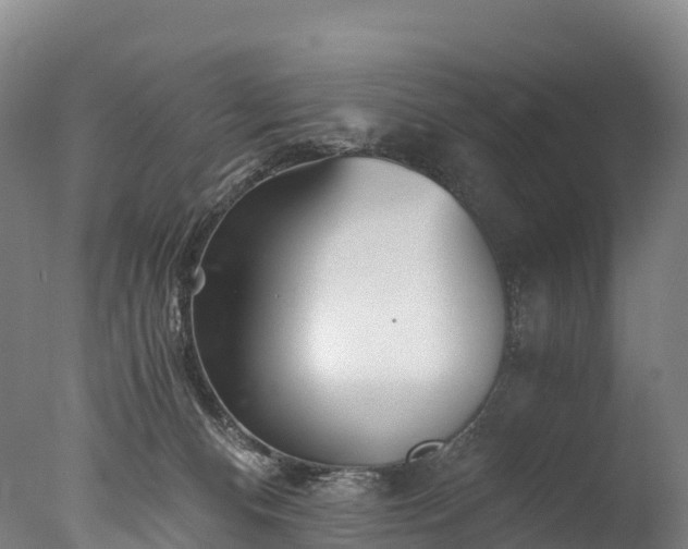 X0000076430128200610161202