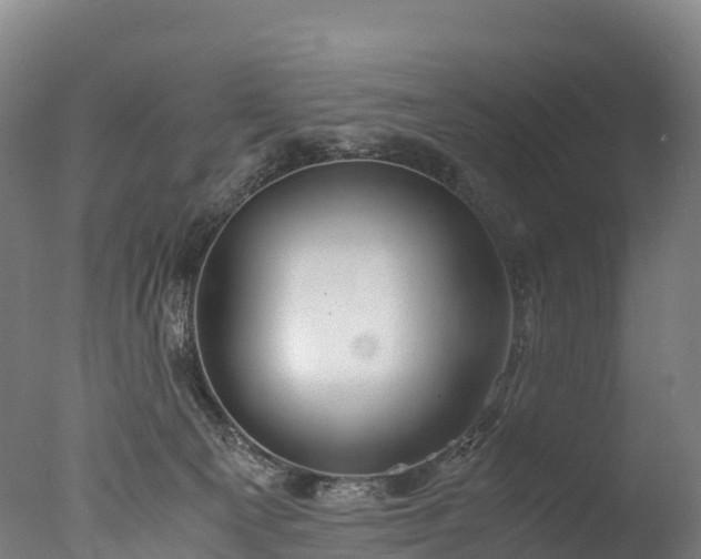 X0000076430129200610161202