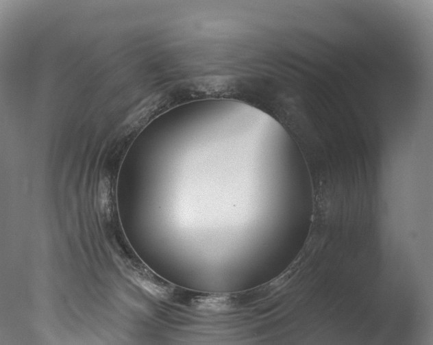 X0000076430132200610161202