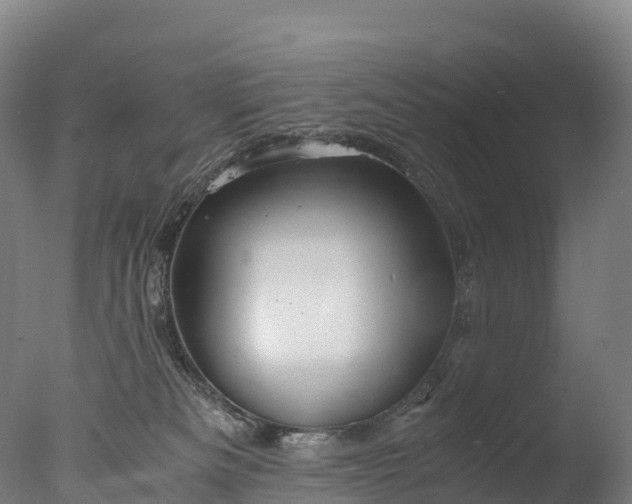 X0000076430133200610161202