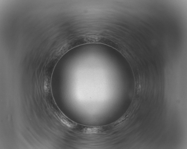 X0000076430134200610161202