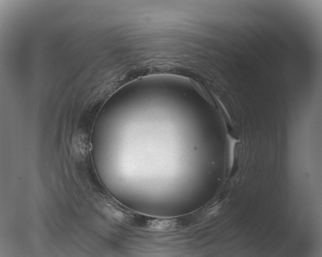 X0000076430135200610161202