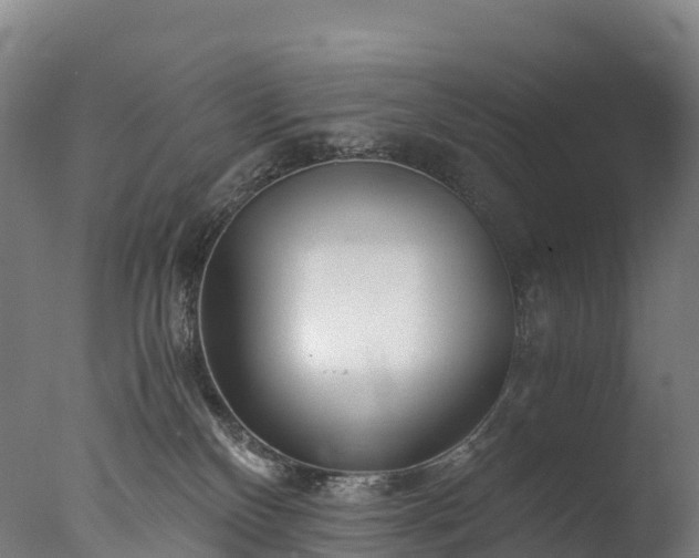X0000076430136200610161202