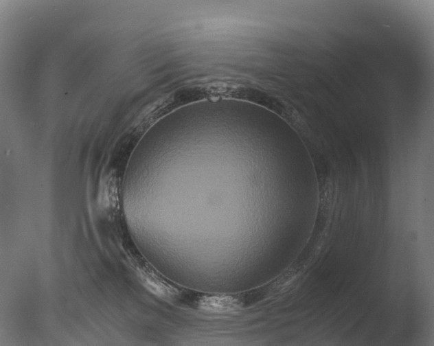 X0000076430137200610161202