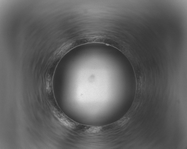 X0000076430138200610161202