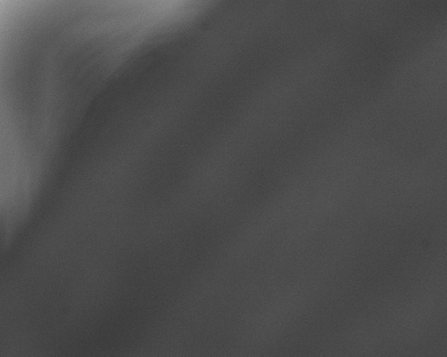 X0000076430139200610161202
