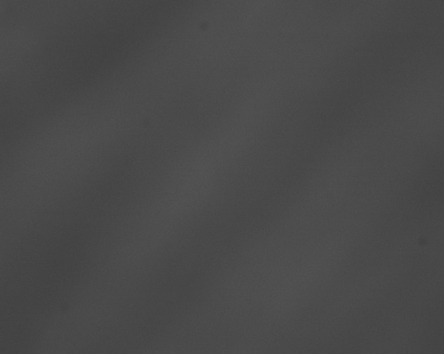 X0000076430140200610161202