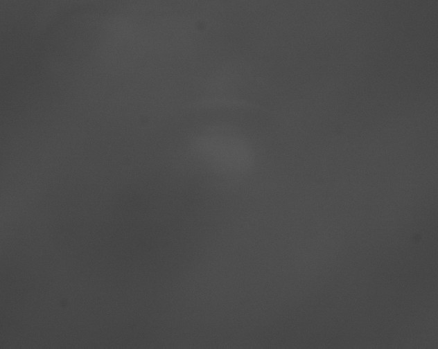 X0000076430141200610161202