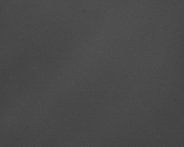 X0000076430142200610161202