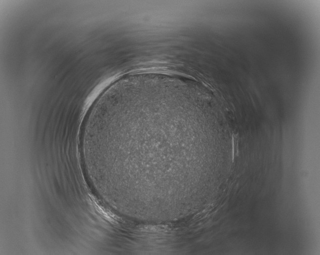 X0000076430147200610161201